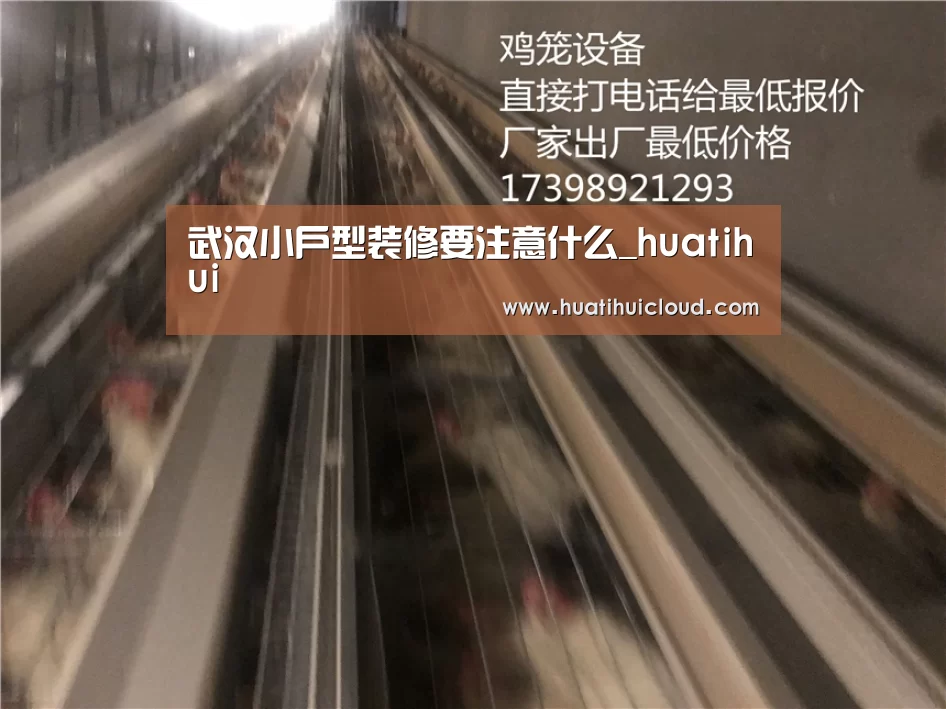 华体会体育网站入口