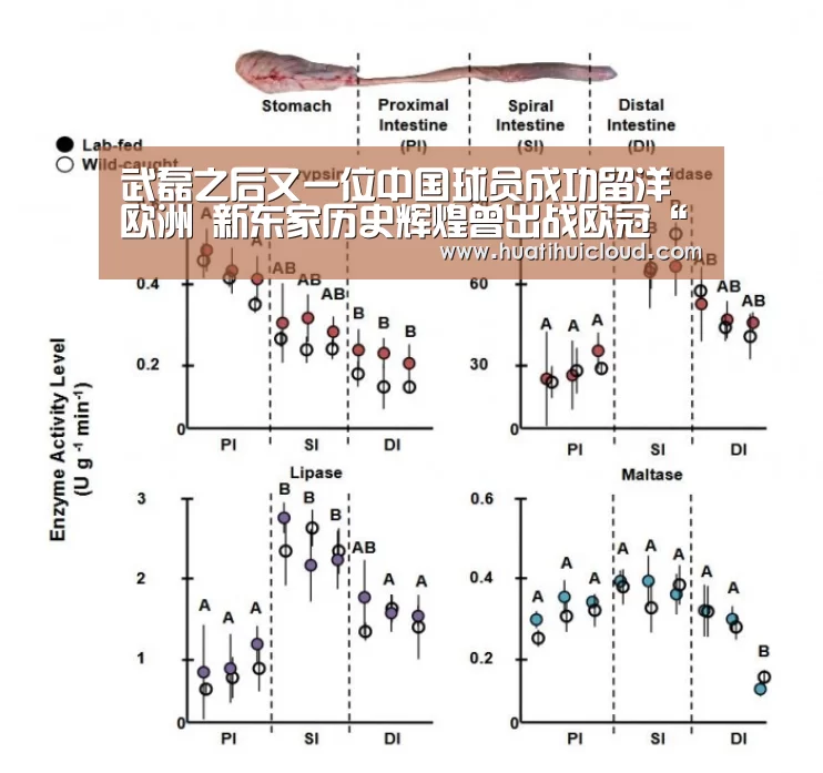 武磊之后又一位中国球员成功留洋欧洲 新东家历史辉煌曾出战欧冠“huatihui”(图2)