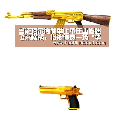 鲁能塔尔德利举止不庄重遭遇飞来横祸，将被停赛一场“华体会体育网页版”(图3)