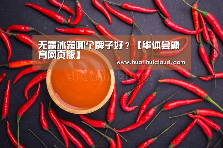 无霜冰箱哪个牌子好？【华体会体育网页版】(图1)