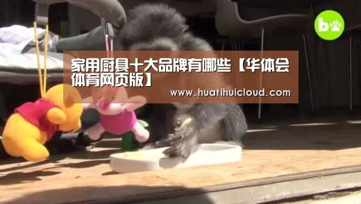 华体会体育网页版