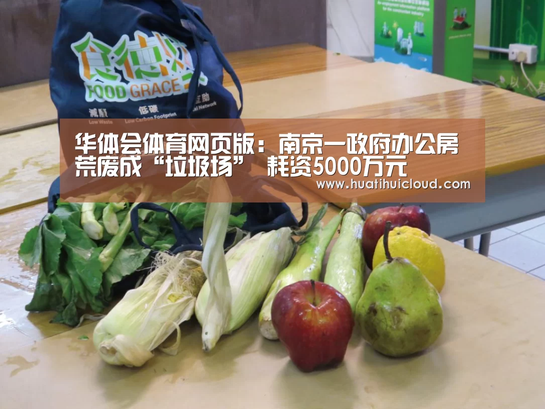 华体会体育网页版：南京一政府办公房荒废成“垃圾场” 耗资5000万元(图4)
