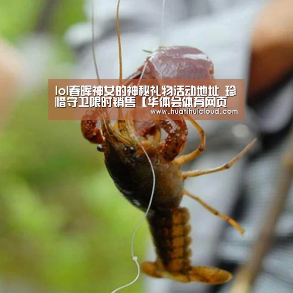 华体会体育网站入口